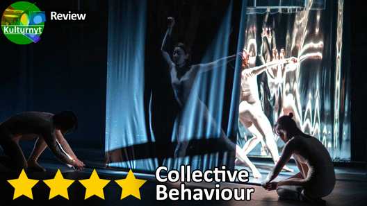 Review of Collective Behaviour, at Bora Bora in Aarhus