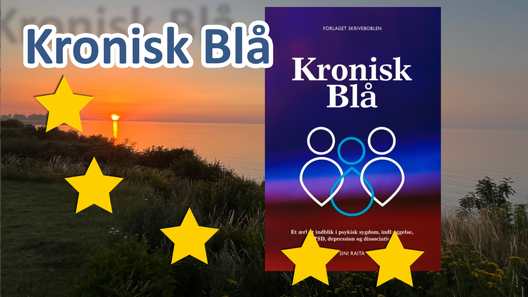Boganmeldelse af Kronisk Blå, Sini Raita