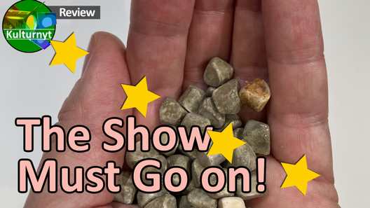 Review The Show Must Go on!, Det Frie Felt at Bora Bora in Aarhus