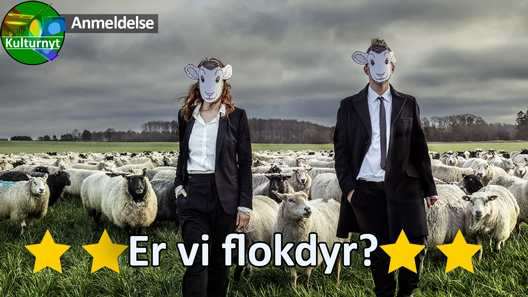 Anmeldelse af Narrative Scripts, på Teatret Svalegangen