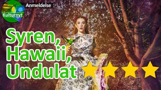 Anmeldelse Syren Hawaii Undulat, Teatret Svalegangen Aarhus