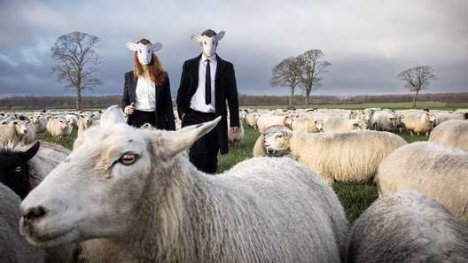 Narrative Scripts, Teatret Svalegangen